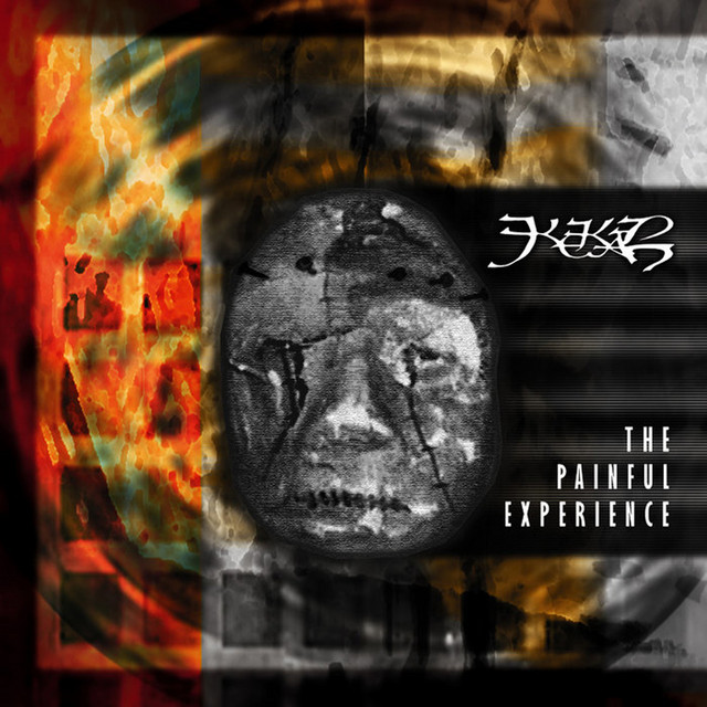 The Painful Experience album cover