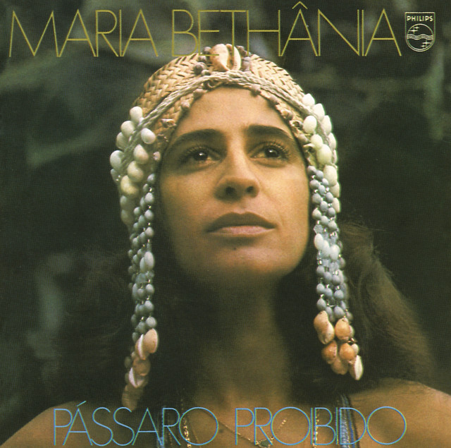 Pássaro Proibido album cover
