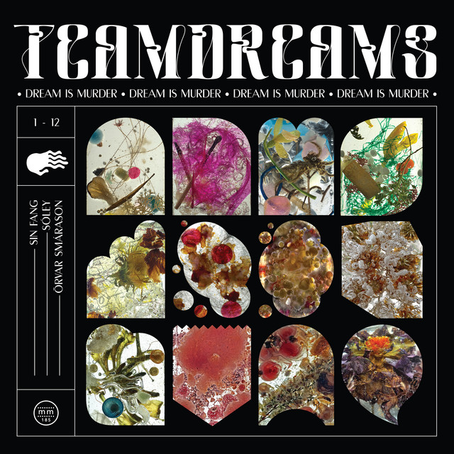 Dream Is Murder album cover