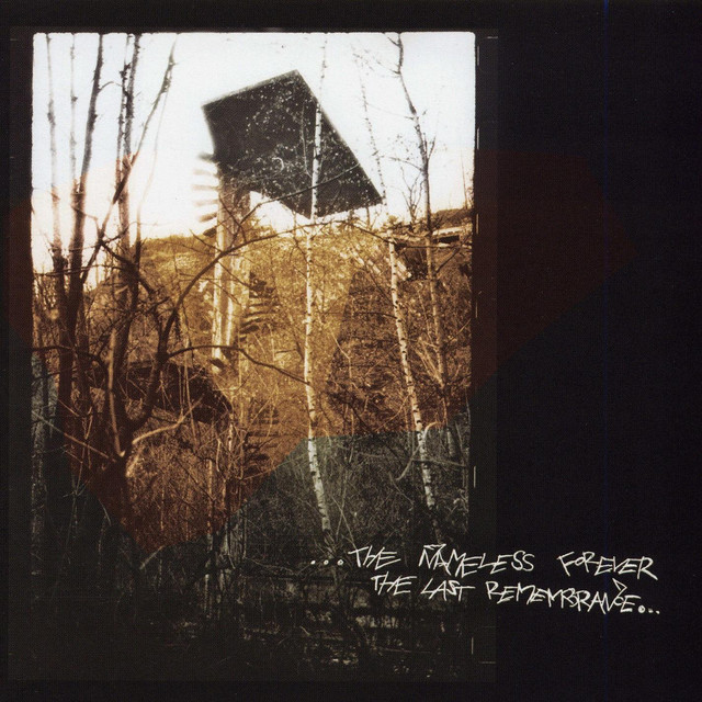 The Nameless Forever...The Last Remembrance album cover
