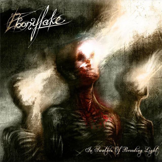 In Swathes of Brooding Light album cover
