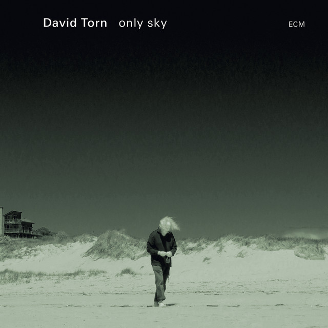Only Sky album cover