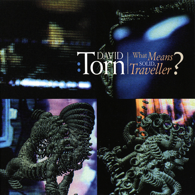 What Means Solid Traveller? album cover