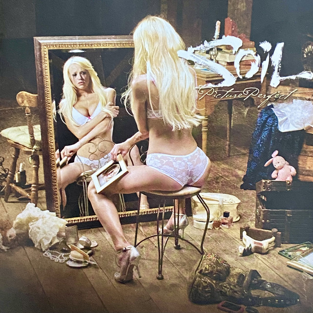 Picture Perfect album cover