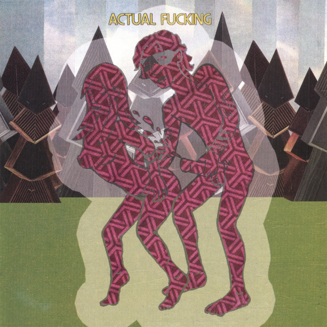 Actual Fucking album cover