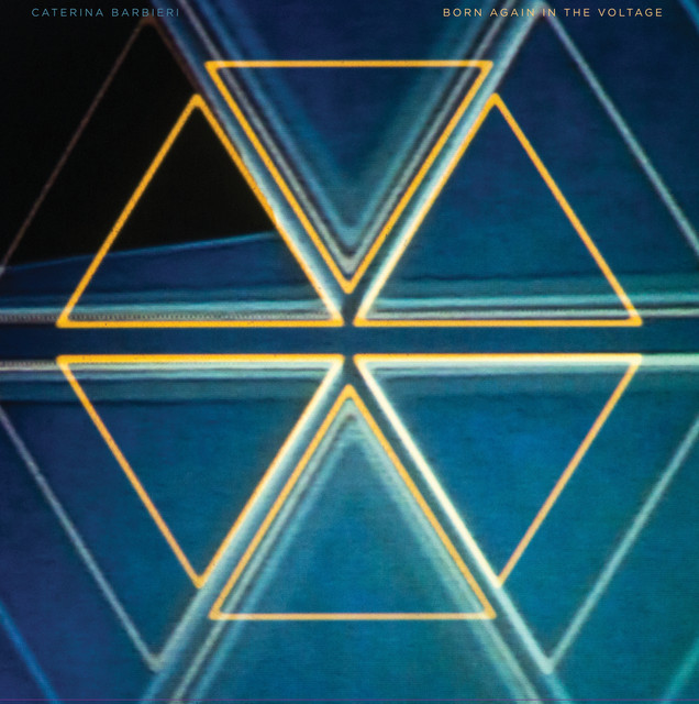 Born Again In The Voltage album cover