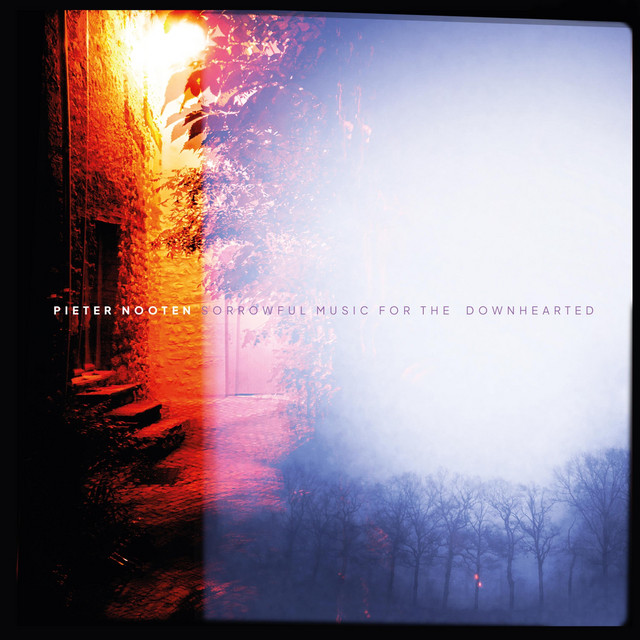 Sorrowful Music For The Downhearted album cover