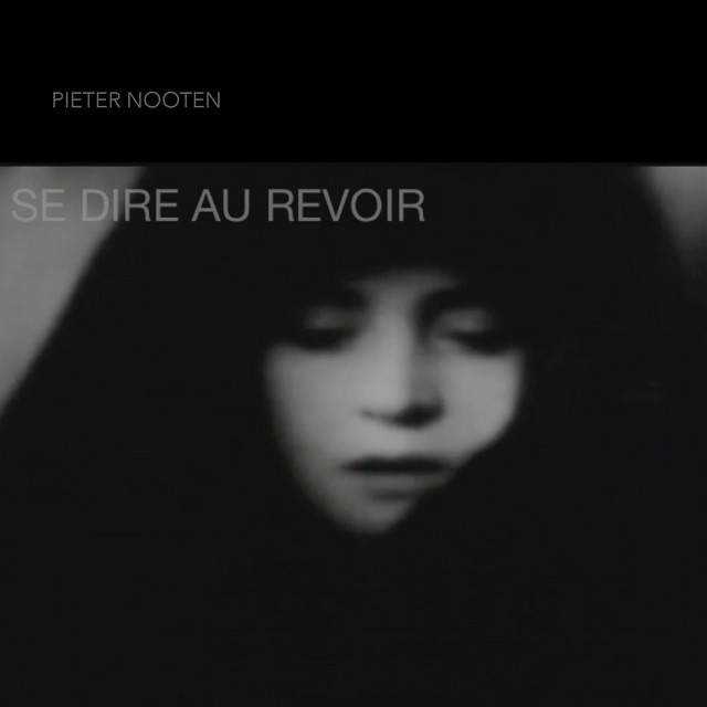 Se Dire Au Revoir album cover