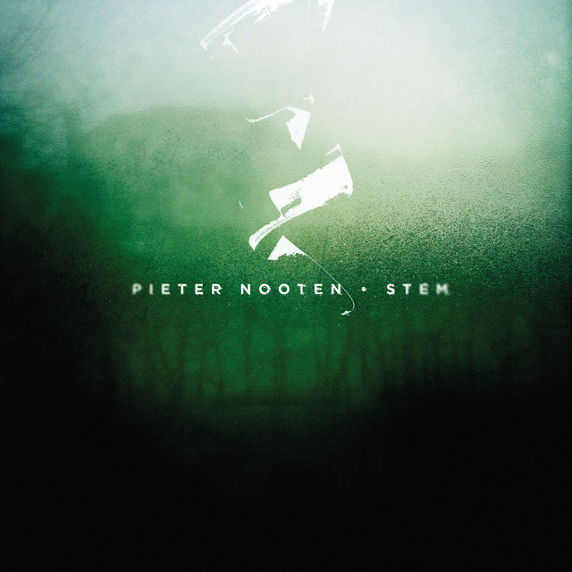 Stem album cover
