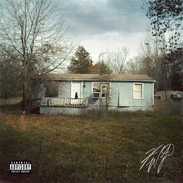 9 Lives album cover