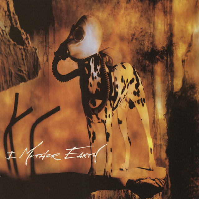Dig album cover