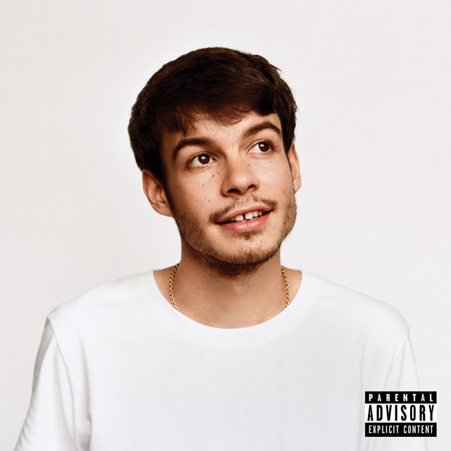 Neumann KMS105 Microphone as heard on Pony by Rex Orange County (2019)