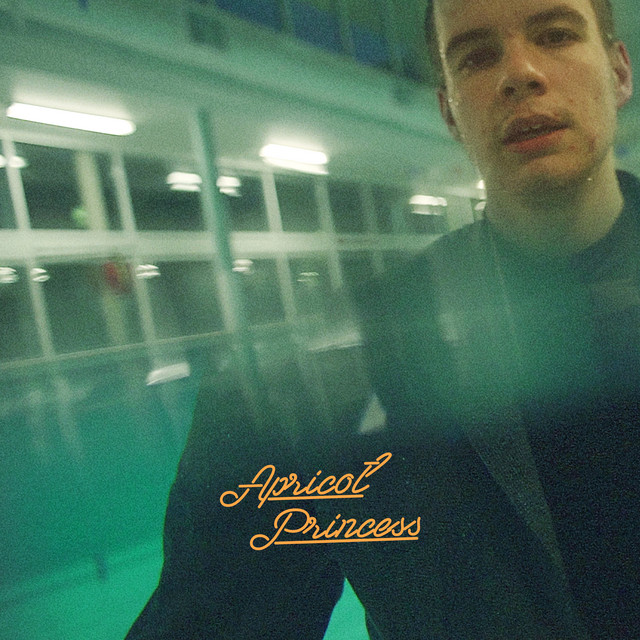 Nord Electro 4 as heard on Apricot Princess by Rex Orange County (2017)