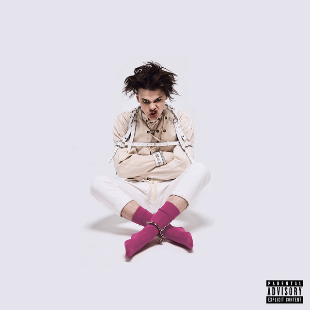 21st Century Liability album cover