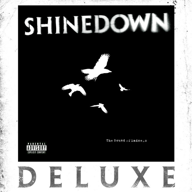 The Sound of Madness album cover