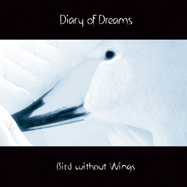 Bird Without Wings album cover