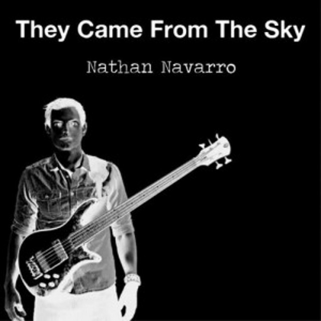 They Came from the Sky album cover