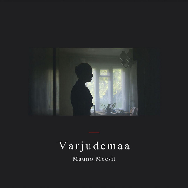 Fender Jazzmaster as heard on Varjudemaa by Mauno Meesit (2015)