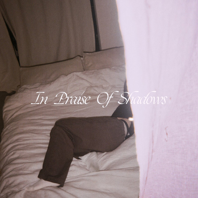 In Praise Of Shadows album cover