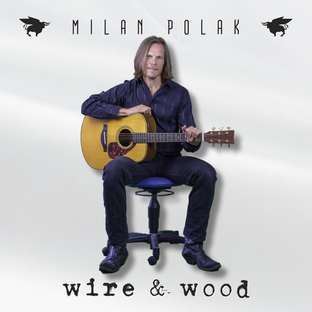Wire & Wood (Acoustic) album cover