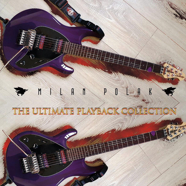 The Ultimate Playback Collection album cover