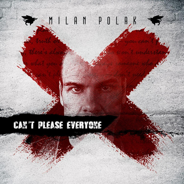 Can't Please Everyone album cover