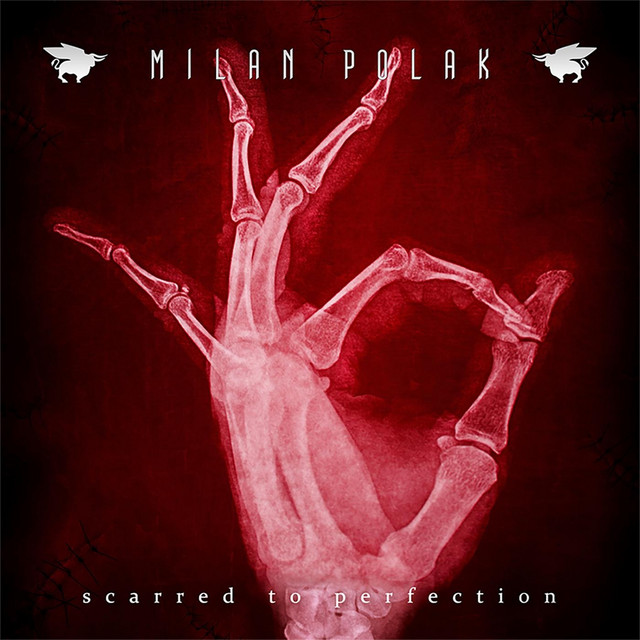 Scarred to Perfection album cover