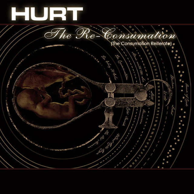 The Re-Consumation album cover