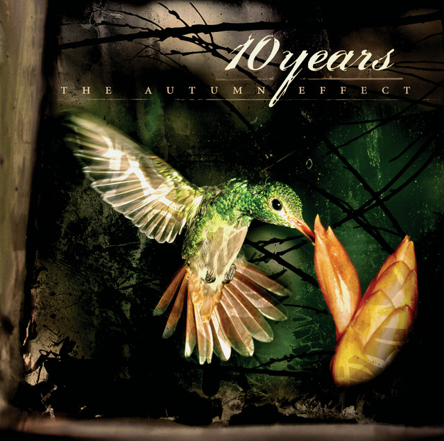 The Autumn Effect album cover