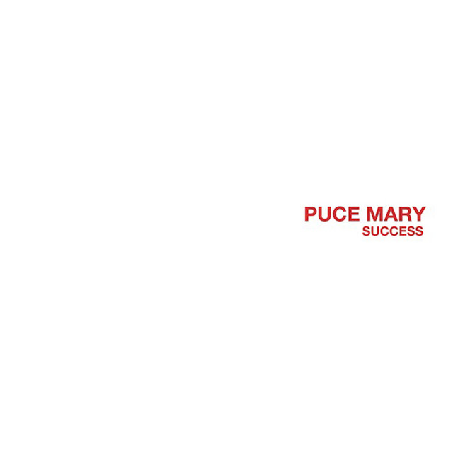 Success album cover