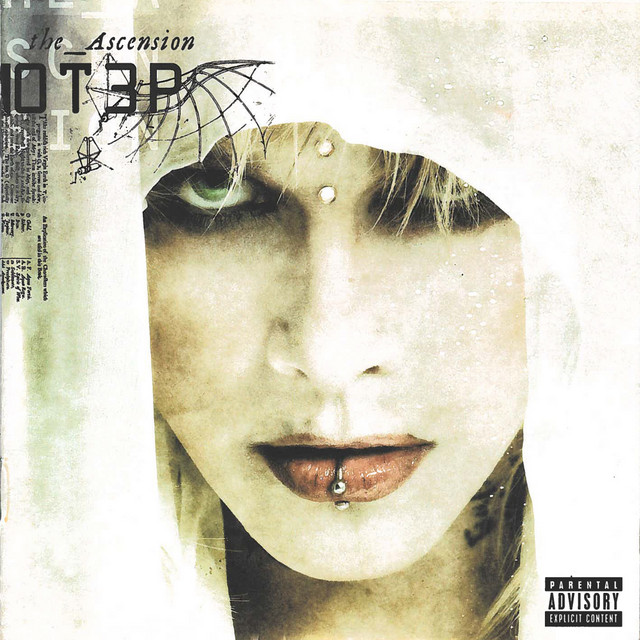 The Ascension album cover