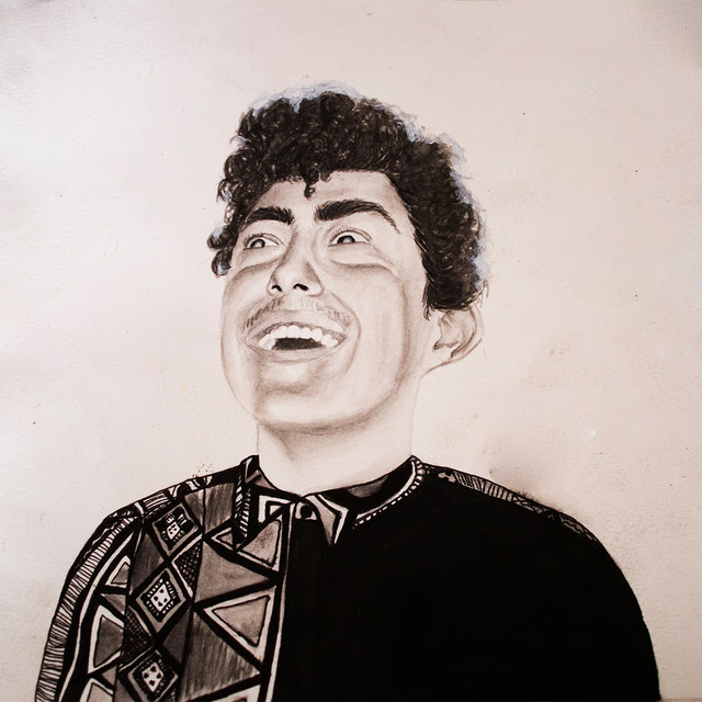 The Rise of Hobo Johnson album cover