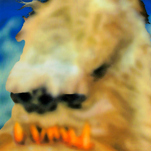 SNOEY album cover