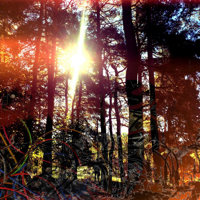 Cross Modulation (Bootleg Remixes) album cover
