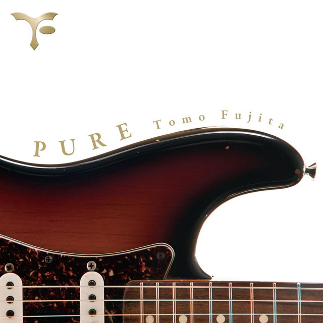 Pure (feat. Will Lee, Steve Gadd, Bernard Purdie & Steve Jordan) album cover