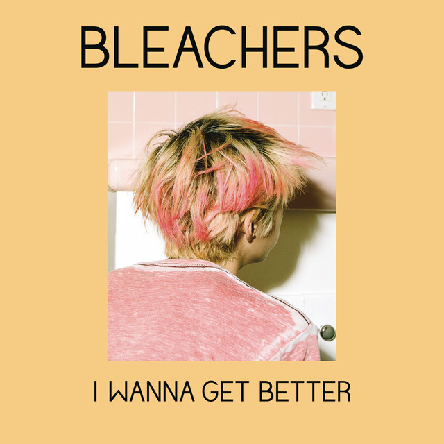 Roland Juno-6 as heard on I Wanna Get Better by Bleachers & Tinashé (2014)