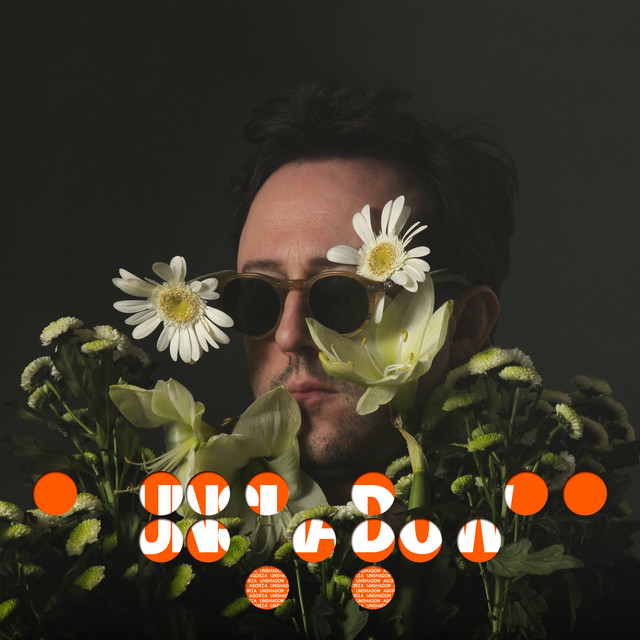 Unshadow album cover