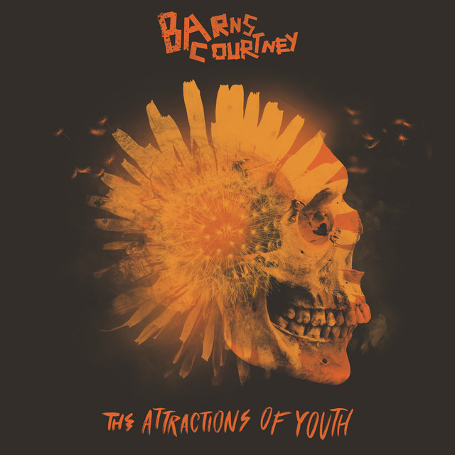 The Attractions Of Youth album cover