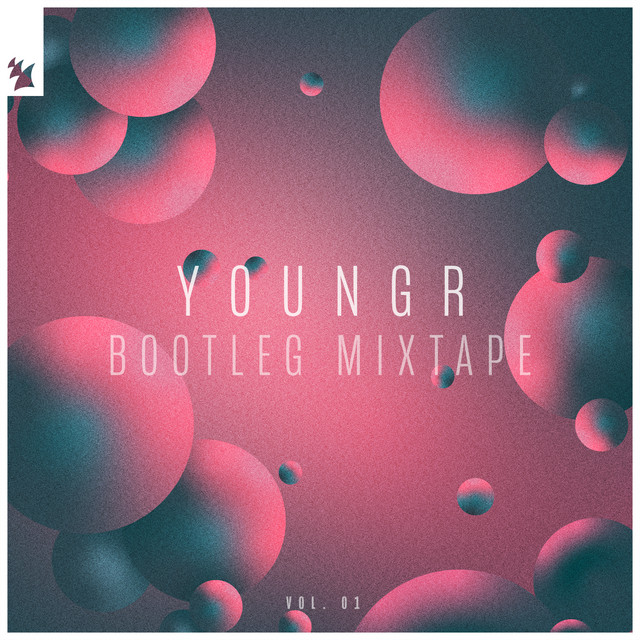 Bootleg Mixtape, Vol. 01 album cover