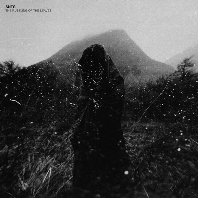 The Rustling Of The Leaves LP album cover