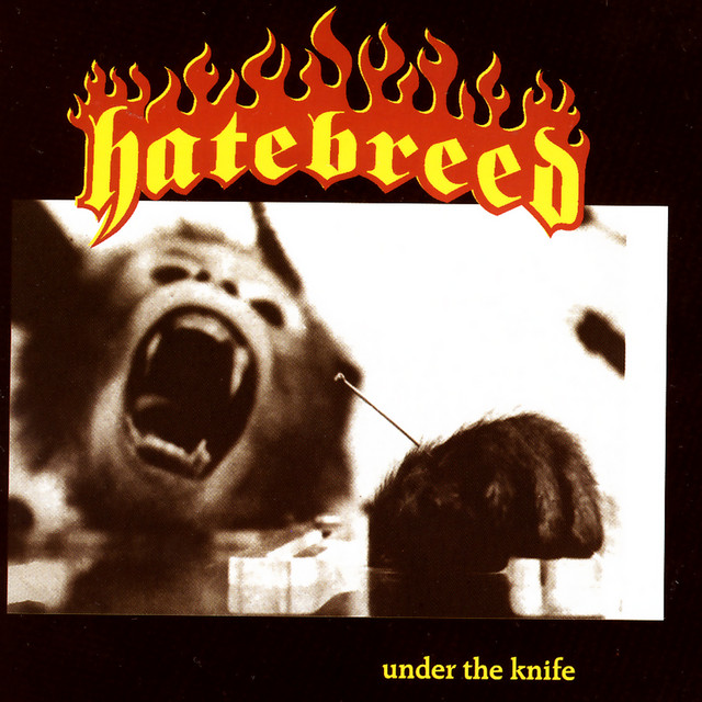 Under The Knife album cover