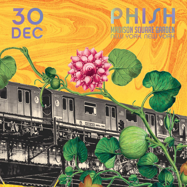 Phish: 12/30/2015 Madison Square Garden, New York, NY album cover