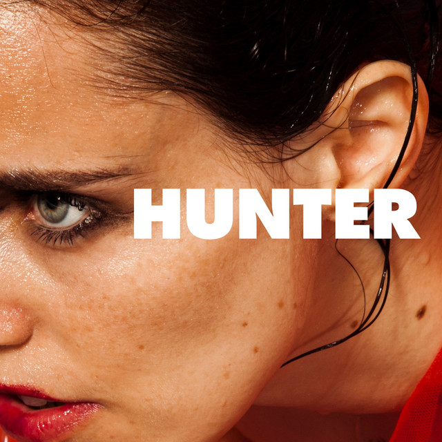 Walrus Audio Slö as heard on Hunter by Anna Calvi (2018)