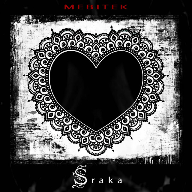 Sraka album cover