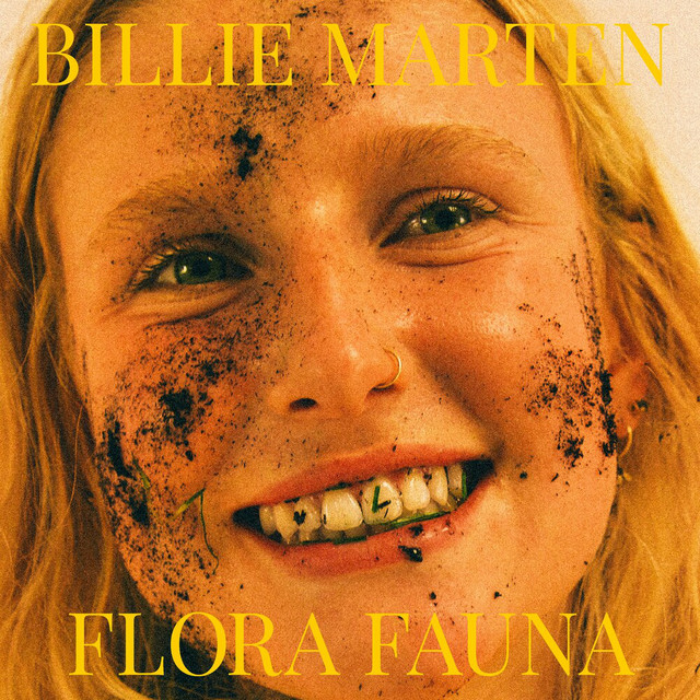1971 Martin D-35 as heard on Flora Fauna by Billie Marten (2021)