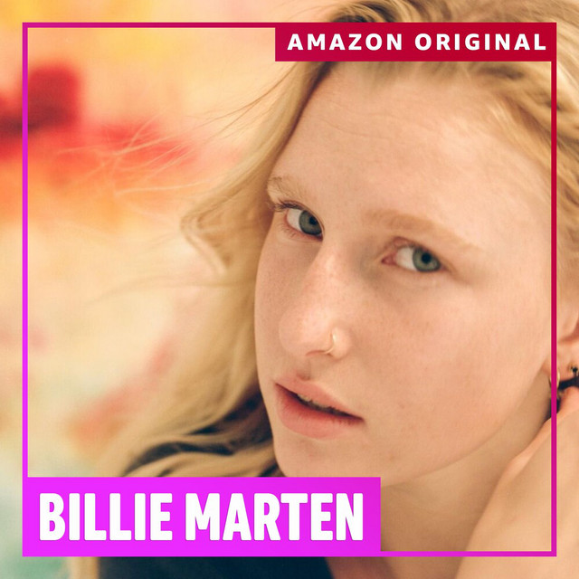 Fishman Rare Earth Single Coil as heard on More Than This (Amazon Original) by Billie Marten (2021)