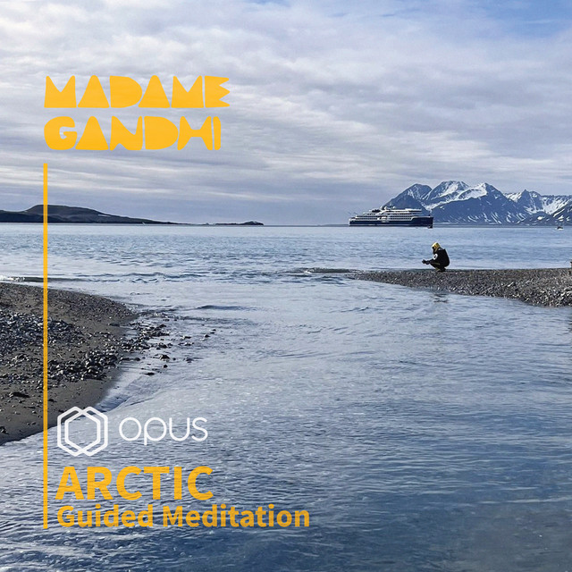 Arctic: Guided Meditation album cover