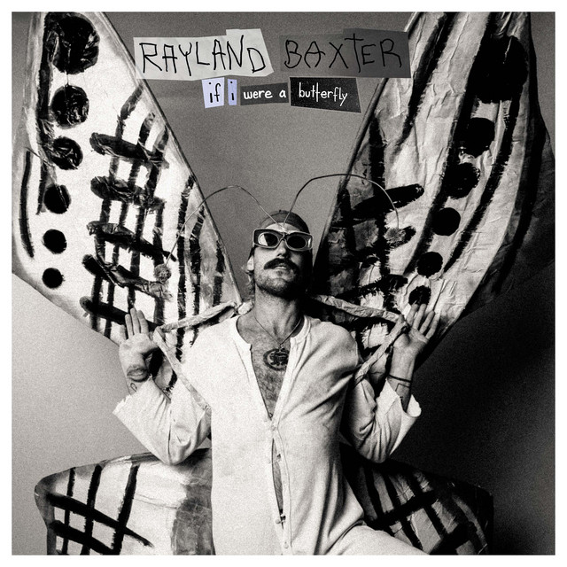 If I Were A Butterfly album cover
