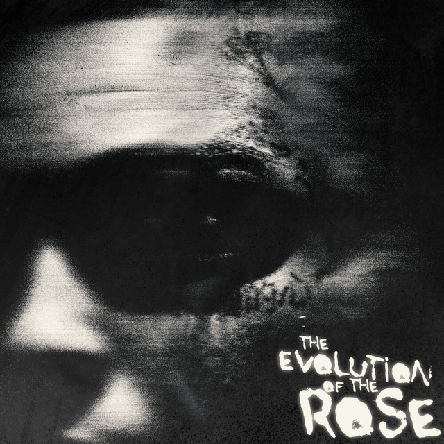 The Evolution of the Rose album cover