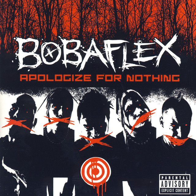 Apologize For Nothing album cover